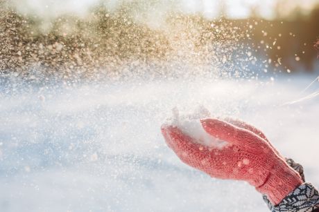 Best Places For Snow Play Near Los Angeles
